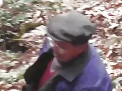 Bosc de la sèrie - bosc salvatge